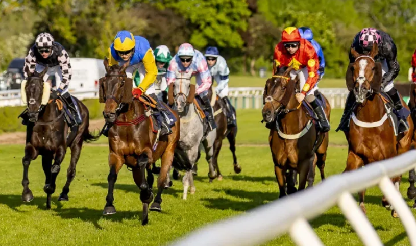 The Emotional Intelligence of Racehorses